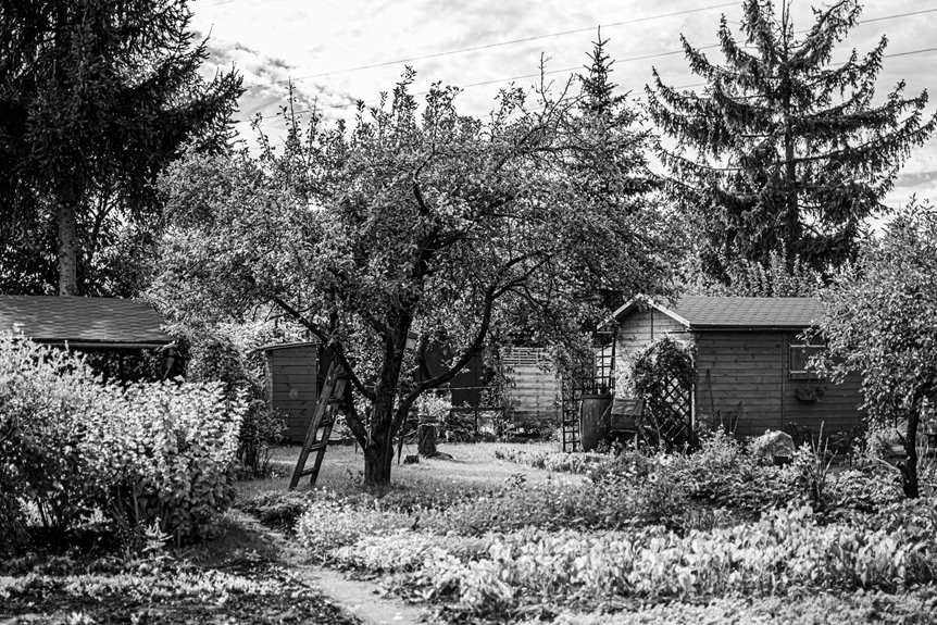 how hard to obtain shed